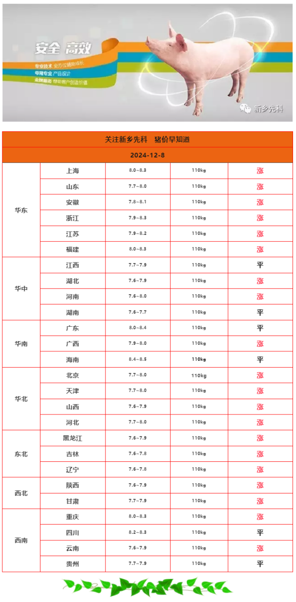 2024年12月8日 全国猪价大部分上涨！.png